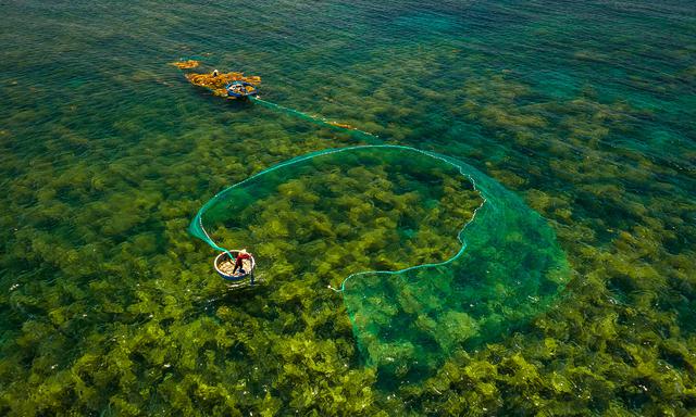 Bãi biển dài 7km ở miền Trung được truyền thông Mỹ vinh danh- Ảnh 6. Bãi biển dài 7km ở miền Trung được truyền thông Mỹ vinh danh- Ảnh 6.