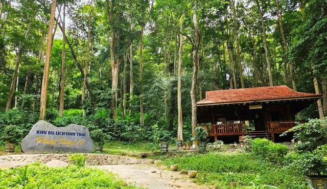 Phát hiện khu rừng nằm sát quốc lộ ở nơi giữ kỷ lục “nóng nhất Việt Nam”: Nhiều thân cây cao hàng chục mét mọc thẳng tắp, đổi màu theo mùa - Ảnh 1.