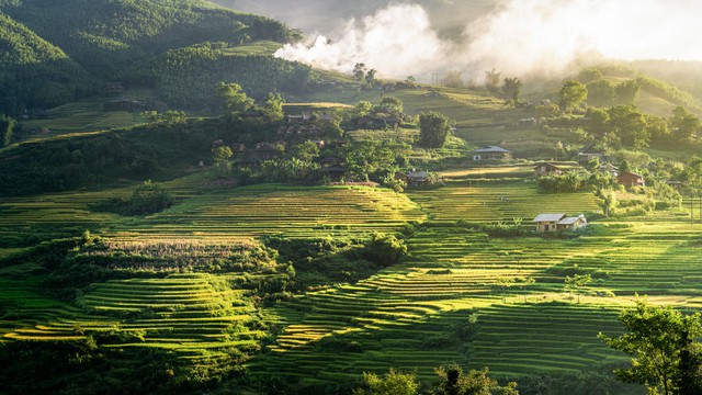 Một ngày ở quần thể nghỉ dưỡng quốc tế Alphora Muong Hoa: Thức giấc giữa rừng nguyên sinh, lắng nghe tiếng suối và ngắm ruộng bậc thang từ hiên nhà - Ảnh 1.