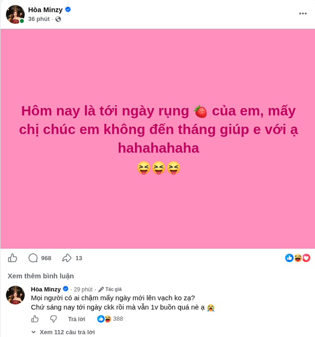 Hòa Minzy chia sẻ chuyện thầm kín, hàng trăm khán giả gửi lời động viên - Ảnh 1.
