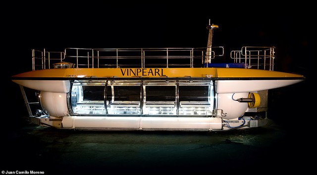 Tỷ phú Phạm Nhật Vượng từng đặt hàng 1 tàu ngầm từ Mỹ để phục vụ du khách: Lần đầu tiên có ở Việt Nam, lặn sâu tối đa 100m, chở được 24 người/lần - Ảnh 1.