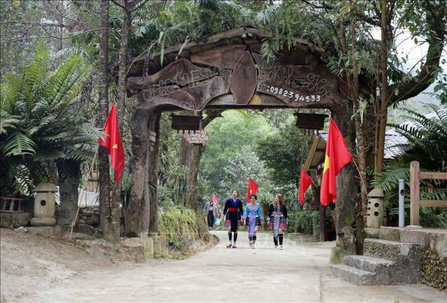 Phát hiện