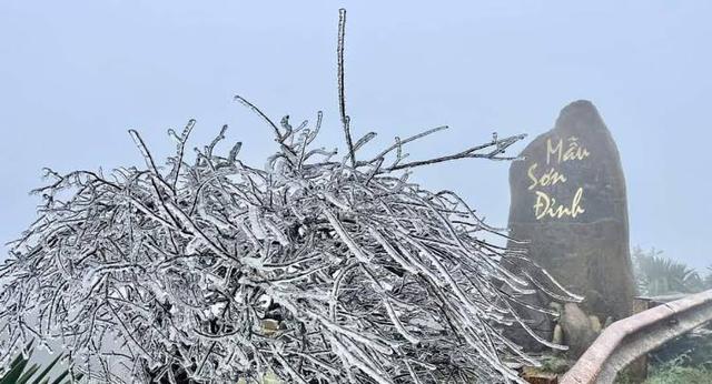 Tình hình hiện tại của tuyến cáp treo lên thẳng nơi được mệnh danh "lạnh nhất Việt Nam": Khi nào du khách được trải nghiệm? - Ảnh 4.