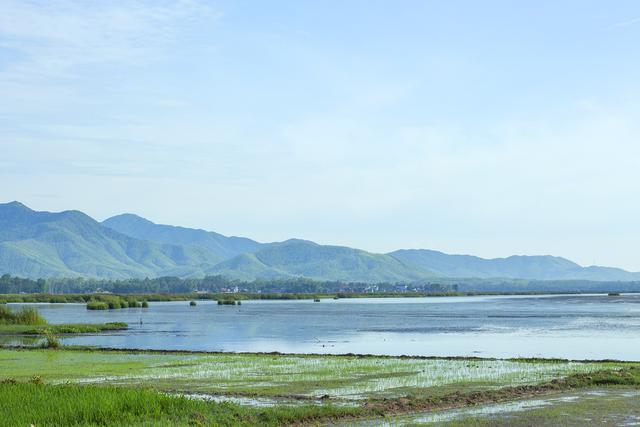 Phát hiện đầm nước ngọt thuộc dạng hiếm ở tỉnh miền Trung: Từng thông thẳng ra biển, nước chuyển từ mặn sang ngọt - Ảnh 1.