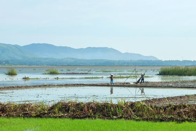 Phát hiện đầm nước ngọt thuộc dạng hiếm ở tỉnh miền Trung: Từng thông thẳng ra biển, nước chuyển từ mặn sang ngọt - Ảnh 2.