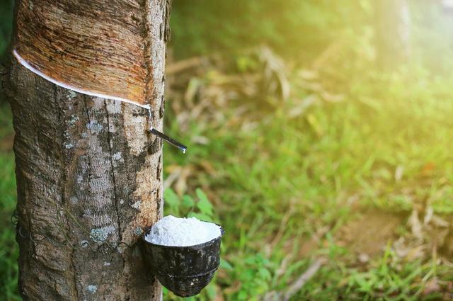 Lãi đột biến, GVR “rót” nghìn tỷ đồng vào quỹ khoa học công nghệ