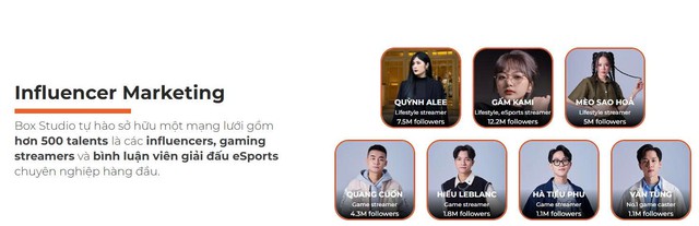 Truy nã CEO Box Việt Nam - Ảnh 2.