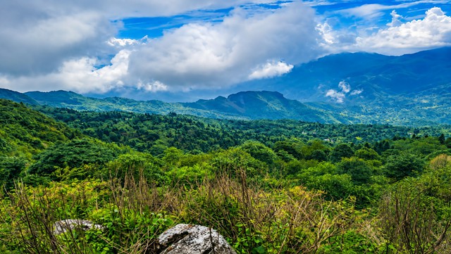 Việt Nam có đỉnh 'chín tầng thang' săn mây cao 2.400m: khí hậu mát mẻ quanh năm, rộng 200ha, sắp thành 'mỏ vàng' mới với vốn đầu tư 450 tỷ đồng - Ảnh 3.