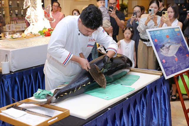"Vua cá ngừ" 60kg vừa đáp chuyến bay từ Nhật Bản xuống Hà Nội: Giá khoảng 75 triệu đồng, đầu bếp dùng dao Nhật xẻ ngay trước thực khách - Ảnh 1.