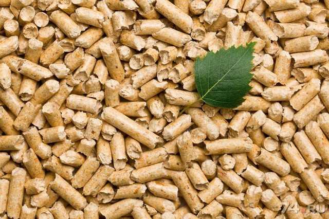 Điều lạ đang diễn ra tại 3 nhà máy điện than Việt Nam: Trộn gỗ vào than, có nơi tỷ lệ lên tới 30%