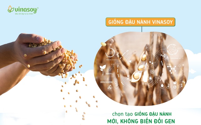 Vùng nguyên liệu nội địa – Niềm tự hào giúp Vinasoy vươn tầm thế giới