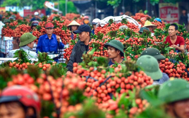 Không còn các "phi vụ giải cứu" ngắn hạn, nông sản Việt tìm đầu ra bền vững trên TMĐT