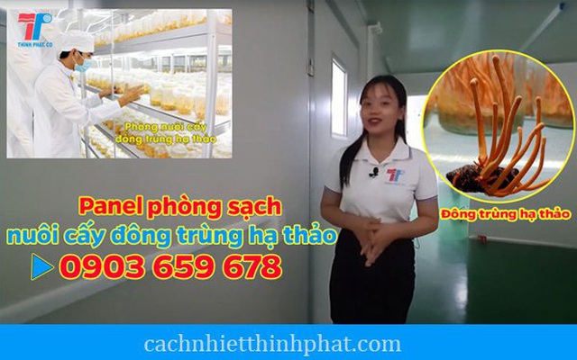 Chọn vách ngăn phòng sạch nuôi cấy đông trùng hạ thảo