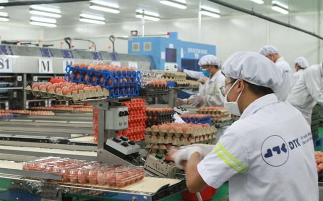 Vietcombank rao bán Nhà máy sản xuất trứng gà tại Phú Thọ, giá khởi điểm hơn 290 tỷ đồng
