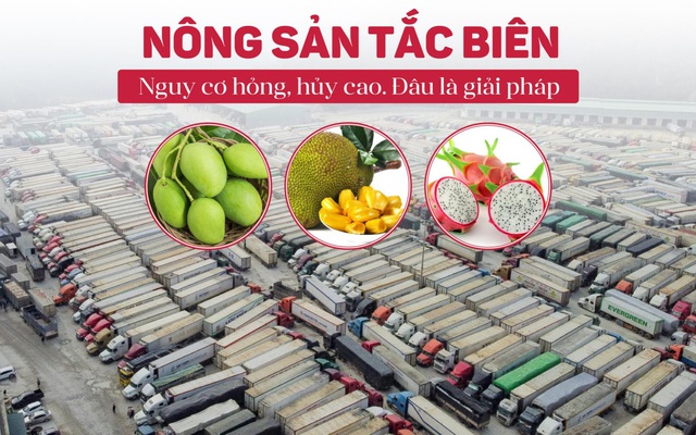 Giải "cứu" nông sản bằng công nghệ sấy lạnh từ Nhật Bản