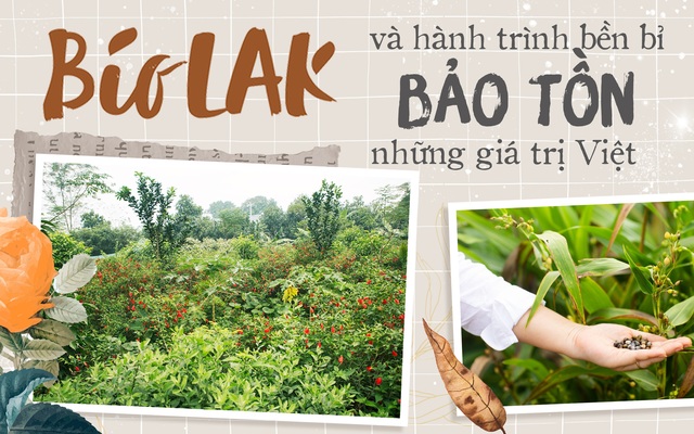 Bio LAK và hành trình bền bỉ bảo tồn những giá trị Việt