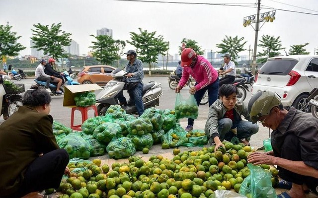 Mùa quả ngọt hứa hẹn nhưng còn nhiều trăn trở cho nông dân ĐBSCL