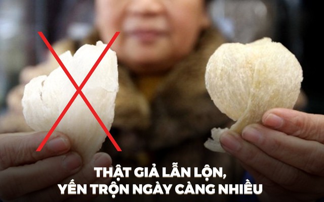 Thật giả lẫn lộn, yến trộn ngày càng nhiều