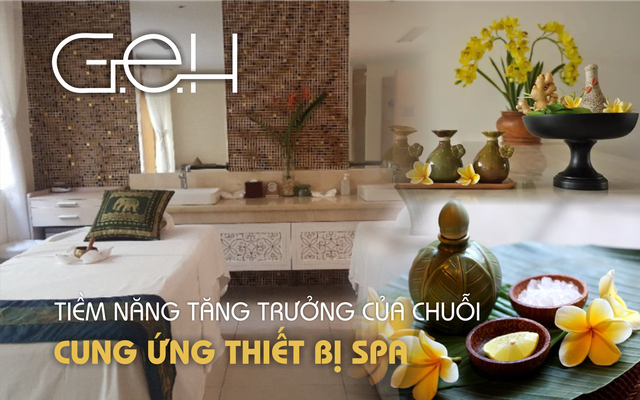 Tiềm năng tăng trưởng của G.E.H tại thị trường Việt Nam