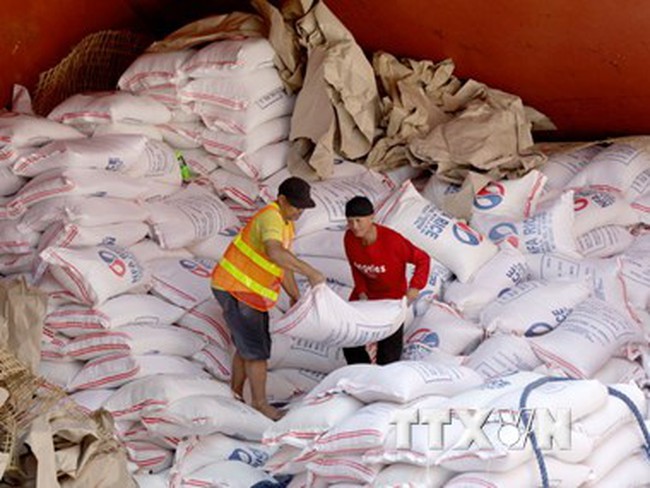 Chính phủ Philippines họp khẩn về nhập khẩu gạo do mất mùa
