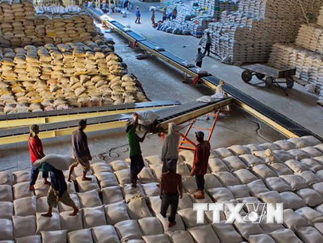 Việt Nam giành hợp đồng cung cấp 300.000 tấn gạo cho Philippines
