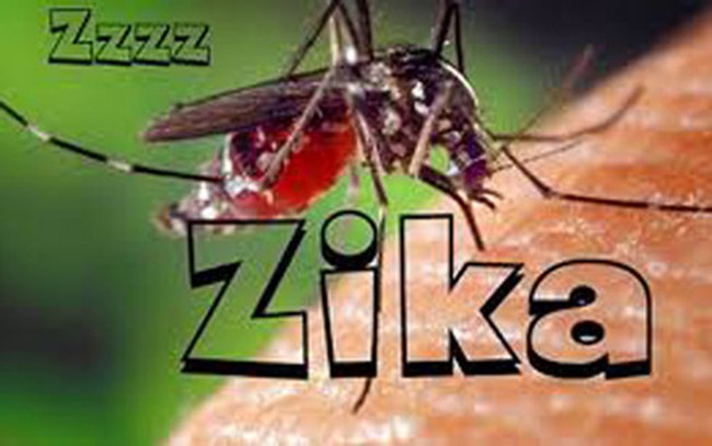 Đồng Nai có nguy cơ nhiễm virus Zika cao
