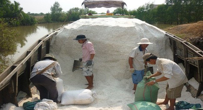 Diêm dân Bạc Liêu vẫn phải bán muối thấp hơn giá quy định