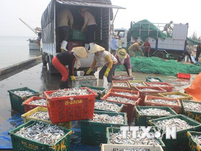 Vụ cá chết hàng loạt: Có thể xử lý hình sự nếu Formosa gây ô nhiễm