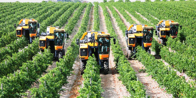 Đề xuất tạo điều kiện thuận lợi cho các doanh nghiệp đầu tư vào nông nghiệp