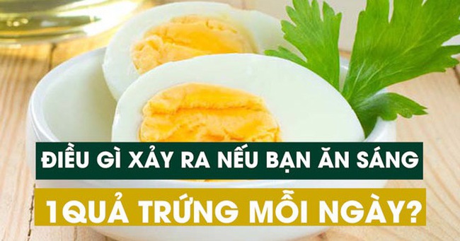 Ăn sáng bằng một quả trứng mỗi ngày cơ thể sẽ thay đổi thế nào?