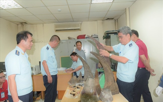 Phát hiện lô hàng khủng toàn sừng tê giác tại sân bay Nội Bài
