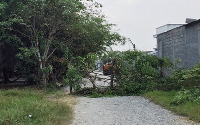 Chấn chỉnh công tác quản lý đất đai trên địa bàn TP.HCM