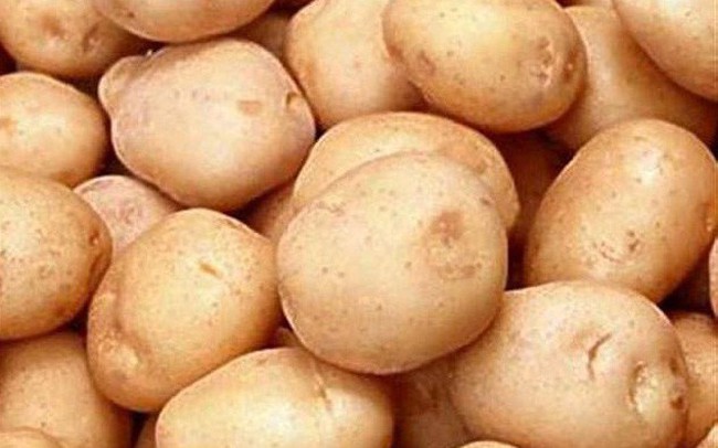 Phát triển sản xuất khoai tây theo xu hướng tiêu dùng
