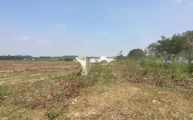Đô thị “ma” Nhơn Trạch, Đồng Nai: La liệt dự án bỏ hoang, chung cư không người ở