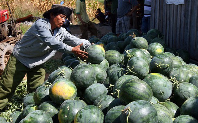 Trung Quốc tăng cường quản lý nguồn gốc trái cây nhập khẩu
