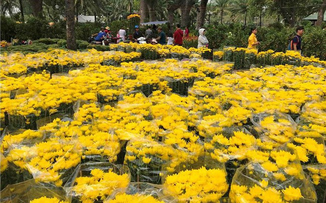 Chợ hoa Tết lớn nhất Sài Gòn nhộn nhịp ngày cuối năm