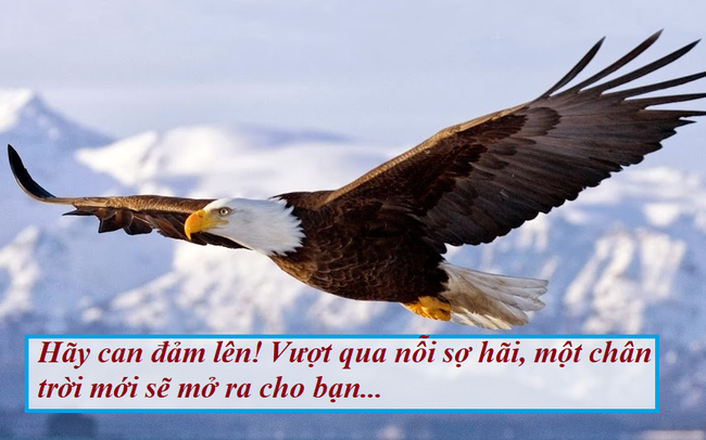 Không dám bước ra khỏi