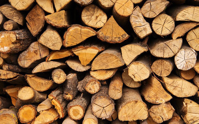 Xuất khẩu gỗ tăng mạnh nhờ hưởng lợi Tradewar, cổ phiếu Phú Tài (PTB) lên mức cao nhất trong vòng 1 năm