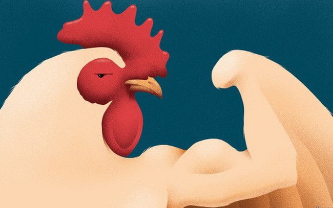 Vì sao người giàu trên thế giới ngày một thích ăn thịt gà?