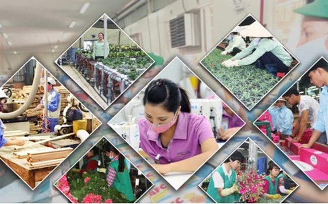 Đến năm 2030, thu nhập người làm nông nghiệp ở Việt Nam tăng 1,5 lần