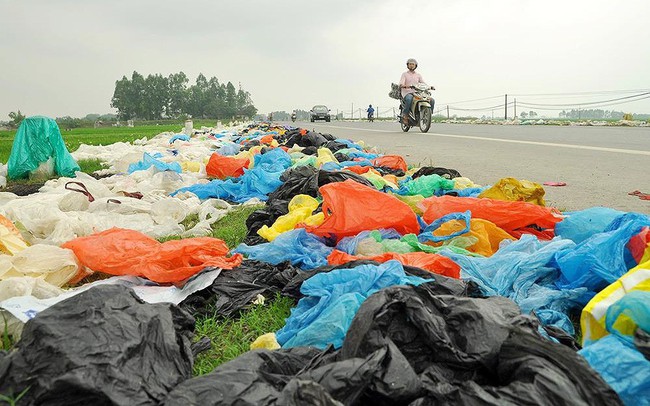 Thảm hoạ môi trường từ túi nilon, rác thải nhựa