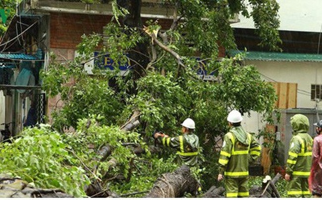 Công điện của Thủ tướng về ứng phó, khắc phục hậu quả mưa lũ do bão số 3