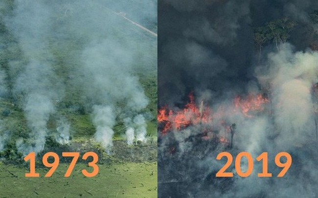 Loạt ảnh Amazon trước và sau đại nạn cháy rừng 2019: Lá phổi xanh ngày nào đã mang đầy bệnh tật do con người đầu độc