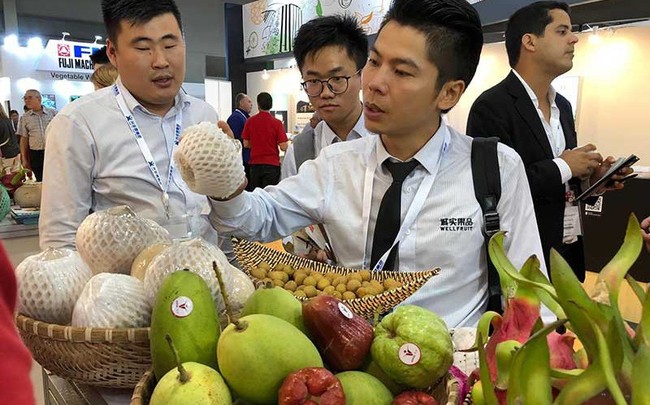 Trung Quốc siết hàng nhập khẩu, nông sản Việt lao dốc