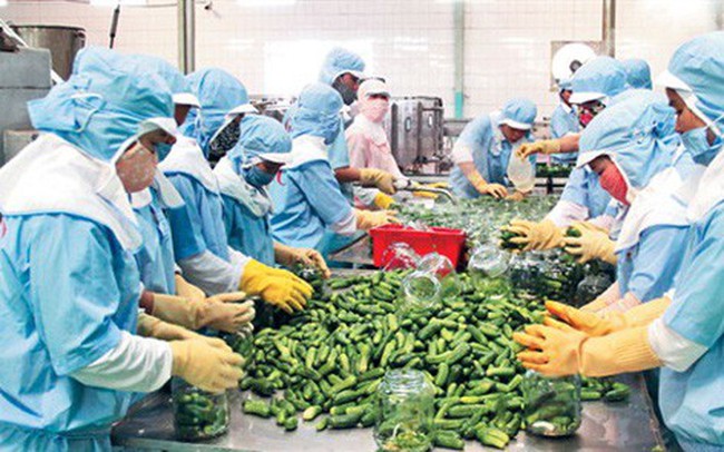 Không xuất khẩu sang Trung Quốc, nông sản Việt tiêu thụ ở đâu?