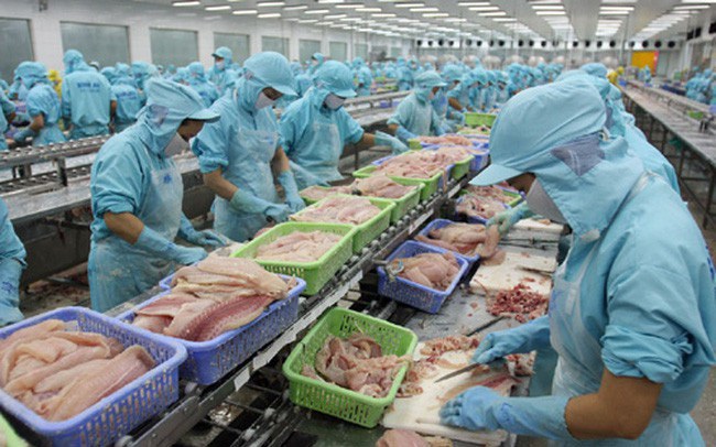Xuất khẩu hải sản mang về 3,2 tỷ USD trong năm 2019