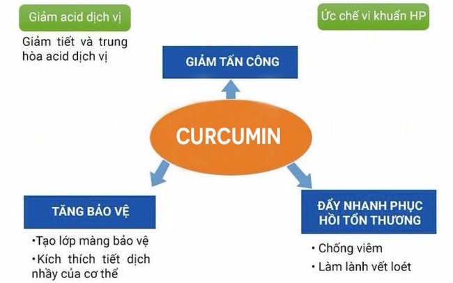 Tại sao nên sử dụng curcumin để tăng cường miễn dịch cho người bệnh dạ dày