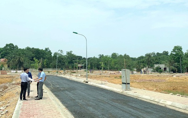 Nhà đầu tư có thực sự “ngồi yên” trong đại dịch COVID-19? Nhà đầu tư có thực sự “ngồi yên” trong đại dịch COVID-19?