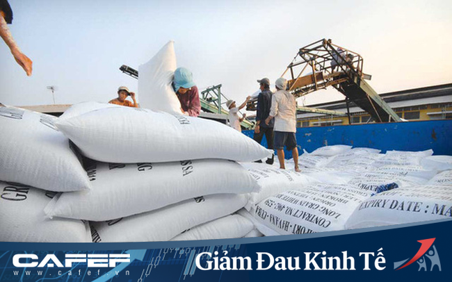 Thủ tướng: Việc xuất khẩu gạo cần phải xem xét kỹ lưỡng, thận trọng
