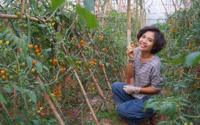 Từ bỏ chức vụ hiệu trưởng để theo đuổi công việc trồng rau trên Đà Lạt, cô chủ The Liittle Pine: Làm nông cũng như làm giáo dục